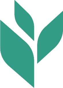 leaf icon